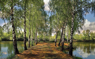 Lake path trees clouds sky - both side of it free wallpaper