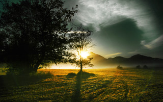 Tree sunset clouds mountains city - a mountain in the distance free wallpaper
