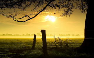 Fence tree sunset fog mountain - fog free wallpaper