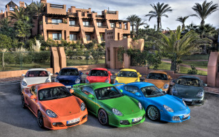 Parking lot cars building palm - palm tree free wallpaper