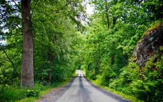 Liminal nature road bush rock - david inshaw free wallpaper