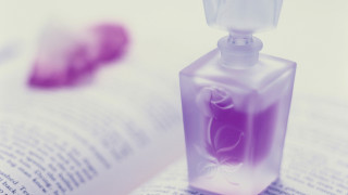 Bottle book flower table magic - a table top free wallpaper