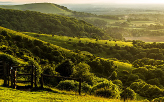 Lush green hillside gate city - hill free wallpaper
