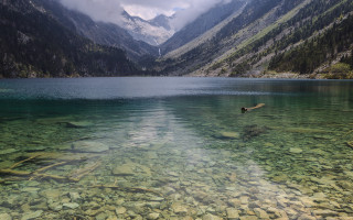 Lake mountain dog stick nature - cui bai free wallpaper