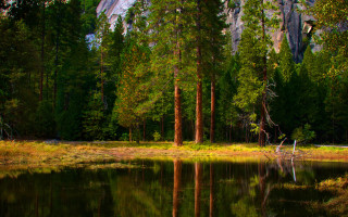 Lake trees mountain reflection nature - tree and a mountain in the background free wallpaper
