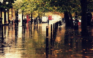 City street rain autumn architecture - christopher wren free wallpaper