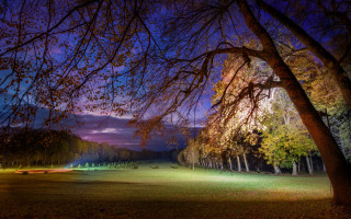Mystical autumn park bench trees - a park free wallpaper