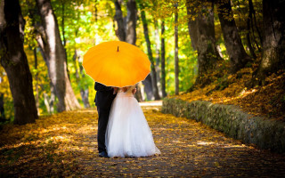Bride groom umbrella autumn forest - artur tarnowski free wallpaper