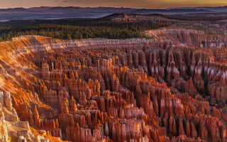 Canyon trees mountains sunset city - a canyon free wallpaper