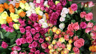 Colorful flowers circle wooden table - free flowers wallpaper