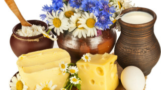 Flower vase cheese milk stilllife - bela čikoš sesija free wallpaper