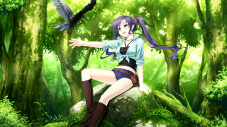 Woman sitting rock woods bird - her arm free wallpaper