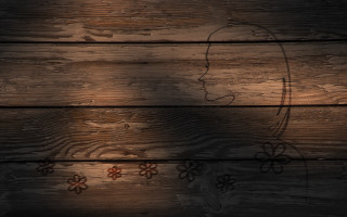 Wooden wall woman face flower - a wooden wall free wallpaper for desktop