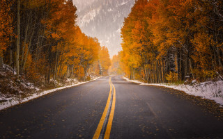 Autumn road orange leaves forest - free winter wallpaper