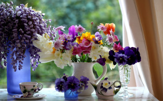 Vase flowers cup saucer window - still free wallpaper