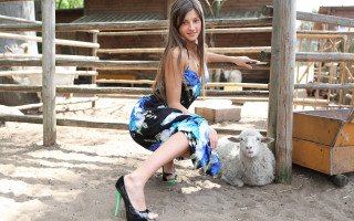 Woman dress sheep fence building - a pen free wallpaper