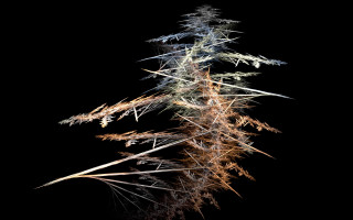 Tall plant thin leaves streetlight - thin free wallpaper