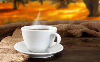 Coffee saucer table blanket tree - morning free wallpaper