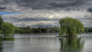 Lake tree cloudy sky church - hdr free wallpaper