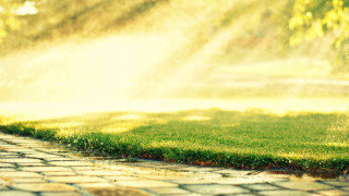 Fire hydrant water spray park - grass and trees free wallpaper