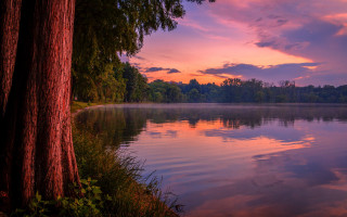 Lake tree sunset clouds pink - impressionist free wallpaper