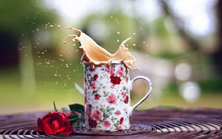 Coffee splash rose flower petals - a rose free wallpaper