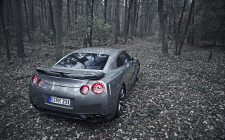 Car woods hood headlight fineart - forest free wallpaper