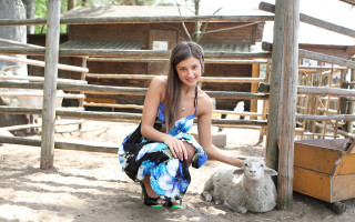 Woman sheep pen fence building - a pen free wallpaper