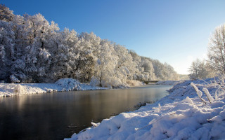 River snow trees bridge winter - regionalism free wallpaper