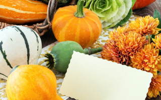 Pumpkins flowers note basket harvest - a basket of flowers free wallpaper