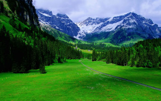 Green field road mountains snow - beautiful landscape free wallpaper for desktop