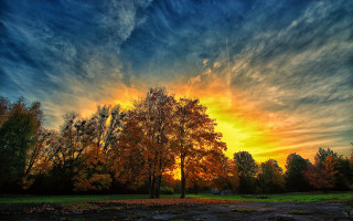 Sunset tree field dirt path - sunrise free wallpaper for desktop