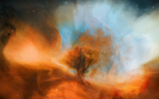 Tree field sky stars nebula - sky free wallpaper