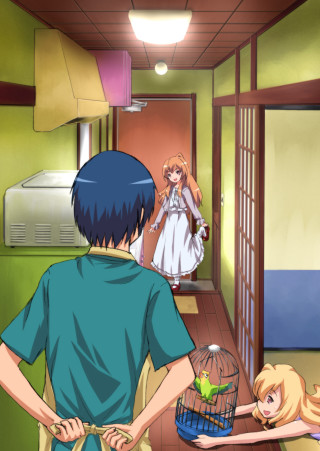 Man birdcage hallway kyoto animation - him free wallpaper