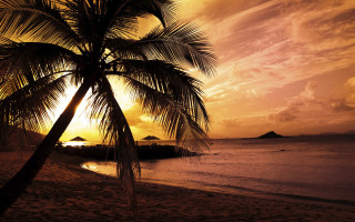 Palm beach sunset island boat - a small island in the distance free wallpaper