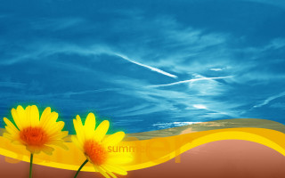 Yellow flowers vase summer beach - two yellow flower free wallpaper