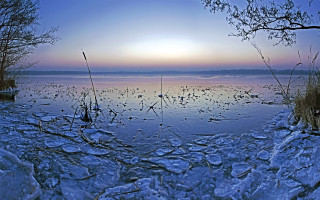 Lake ice trees sunset winter - the water and trees free wallpaper