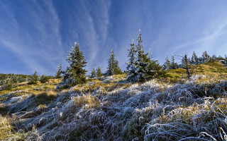 Frosted forest bicycle sky mountains - winter free wallpaper for desktop