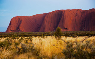 Rock formation tree bush australian - albert namatjira free wallpaper