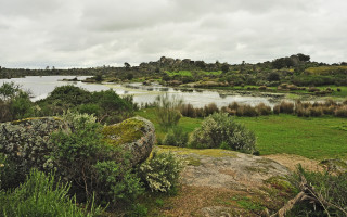 Lake landscape forest rock cloud - a large body of water free wallpaper