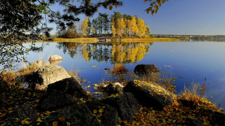 Lake rocks trees bridge autumn - rock and trees free wallpaper