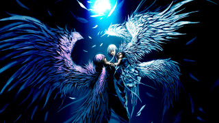 Angelic wings bird moon gothic - above them free wallpaper