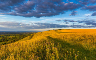 Grassy hill path clouds flowers - a field of flowers free wallpaper