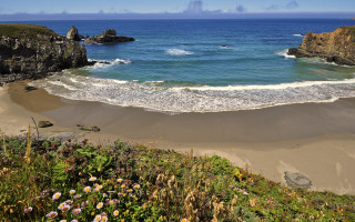 Beach wave cliff flowers sunset - the sand free wallpaper