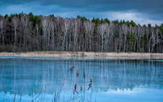 Lake forest clouds bush reflection - tonalism free wallpaper
