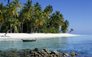 Tropical beach boat palm trees 2 - tropical free wallpaper