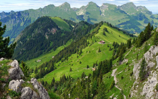 Green mountain valley house trees - the top of it free wallpaper