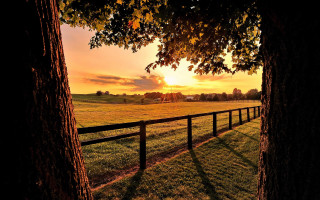 Fence field sunset tree autumn - a fence free wallpaper