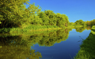 River trees blue sky autumn - alexander brook free wallpaper