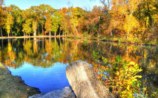Lake fall foliage rock forest - impressionist free wallpaper